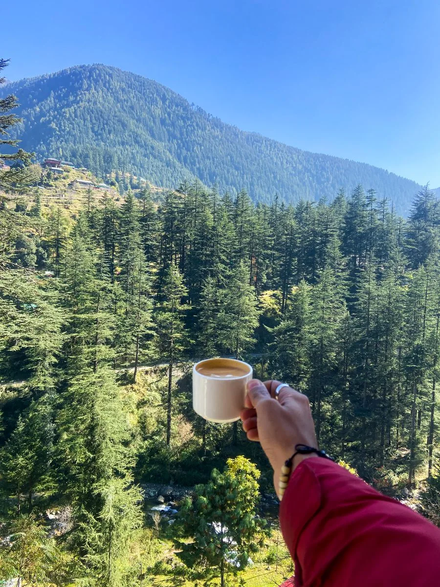 Traditional wooden homes in a green Tirthan Valley village